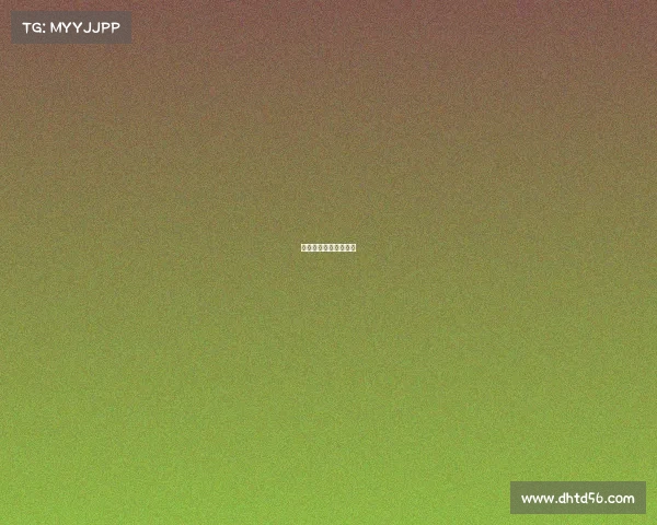 体育赛事交流材料模板